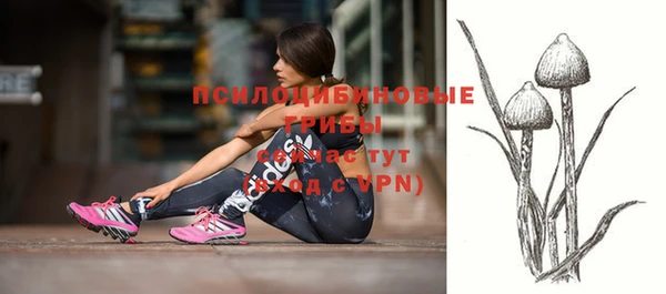 ГАЛЛЮЦИНОГЕННЫЕ ГРИБЫ Лихославль