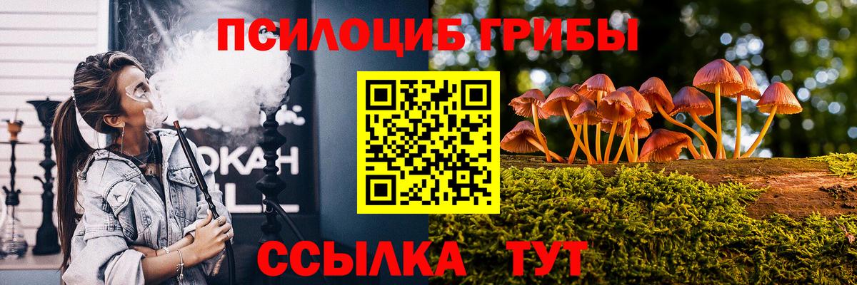 Галлюциногенные грибы Magic Shrooms  Вход с VPN  Хасавюрт 