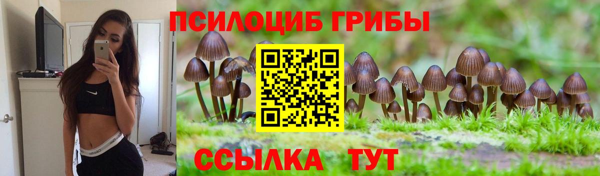 Псилоцибиновые грибы GOLDEN TEACHER Хасавюрт